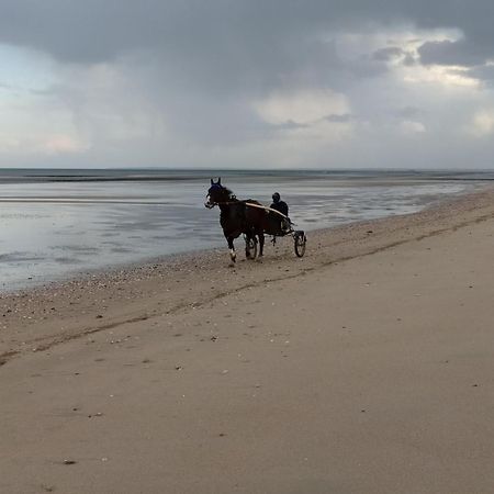 Gites " Arromanches" Ou "Bord De Mer Pmr" 2 Chambres En Front De Mer A Asnelles , 3Km D'Arromanches, 10Km De Bayeux Экстерьер фото